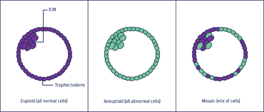 PGT-A HCP Mosaic-1